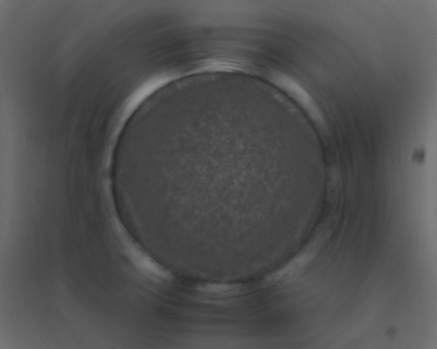 X0000094951427200712131612