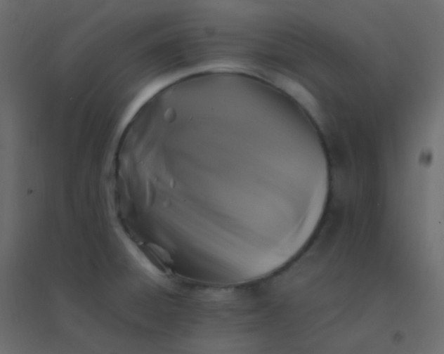 X0000094951428200712131612