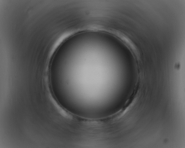 X0000094951432200712131612