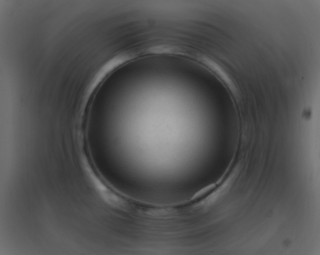 X0000094951434200712131612