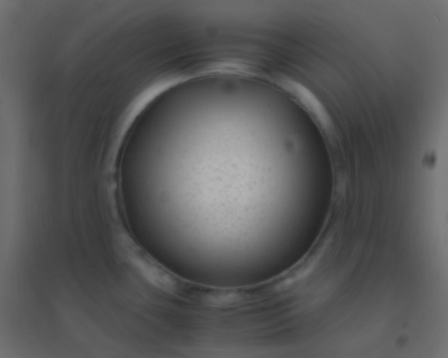 X0000094951435200712131612