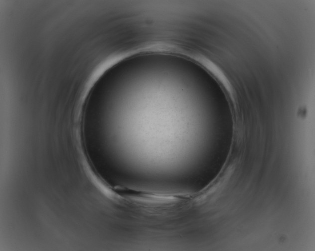 X0000094951437200712131612