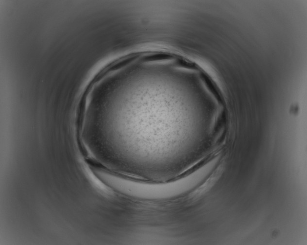 X0000094951438200712131612