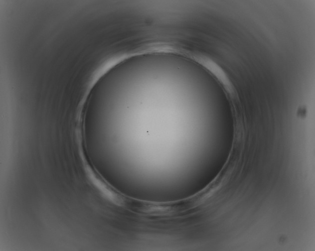 X0000094951439200712131612