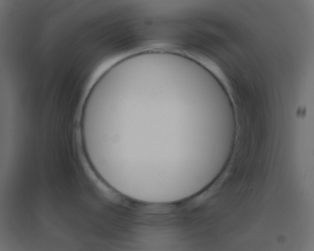 X0000094951440200712131612