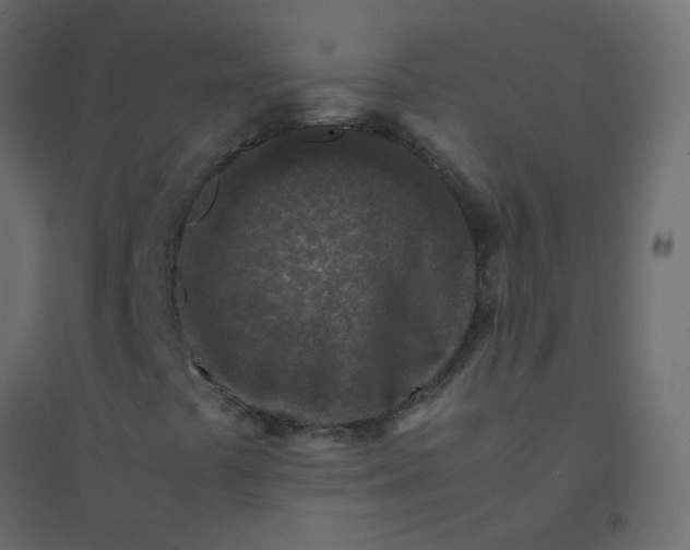 X0000094951441200712131612