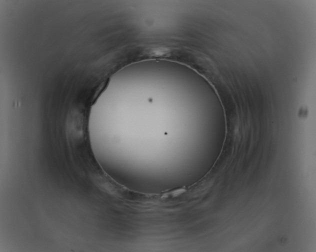 X0000094951442200712131612