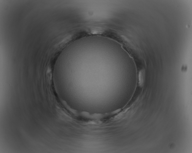 X0000094951443200712131612