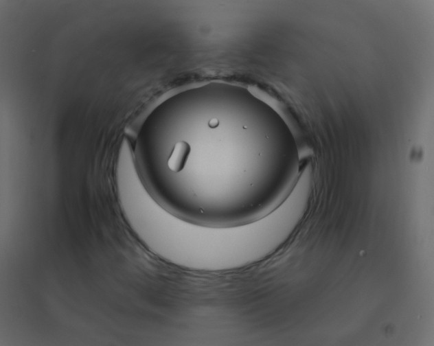 X0000094951444200712131612