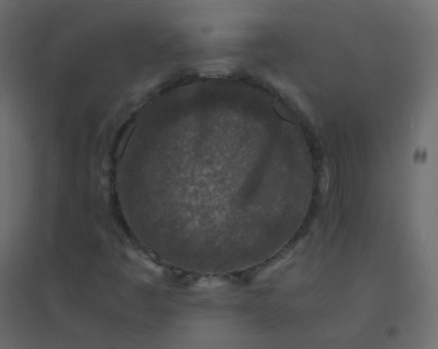 X0000094951445200712131612