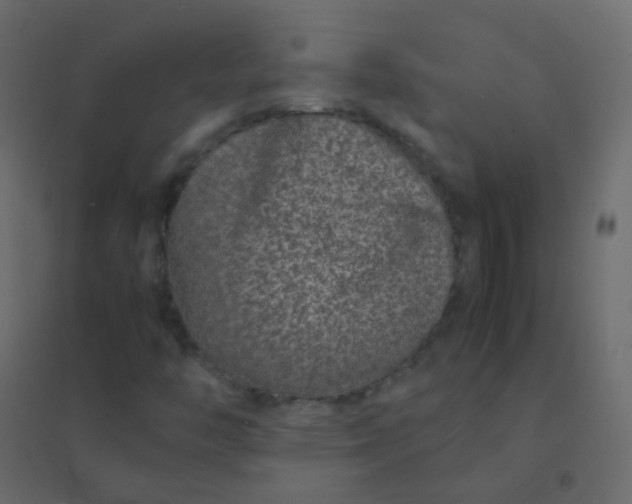 X0000094951446200712131612