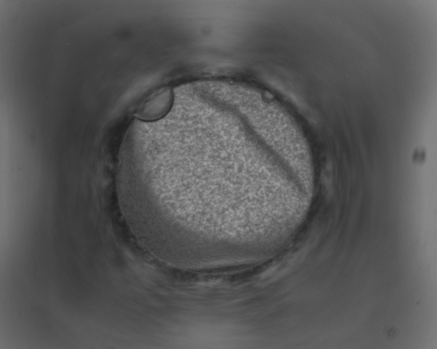 X0000094951447200712131612