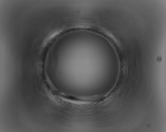 X0000094951448200712131612