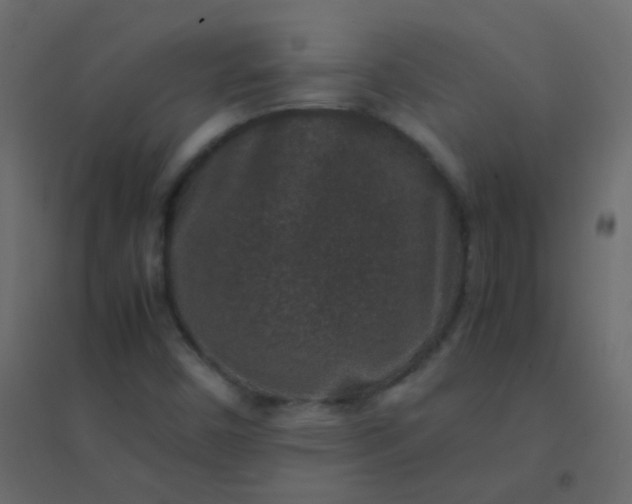 X0000094951450200712131612