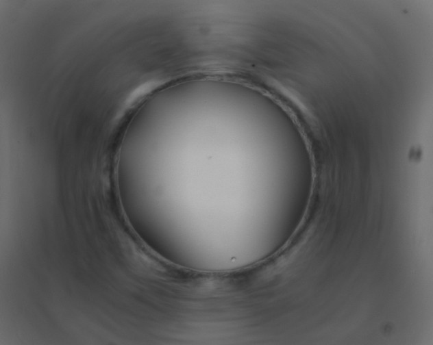 X0000094951451200712131612