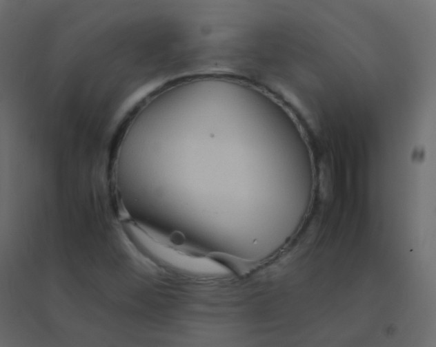 X0000094951452200712131612