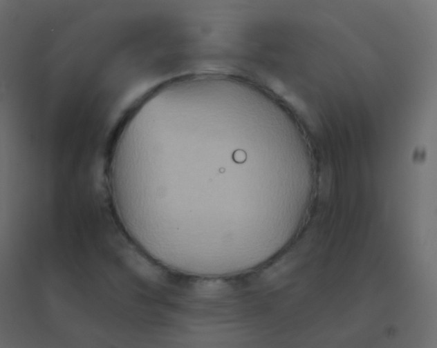 X0000094951454200712131612