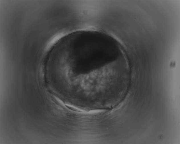 X0000094951455200712131612