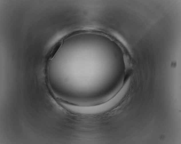 X0000094951456200712131612