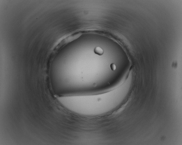 X0000094951457200712131612