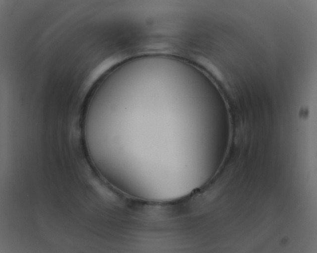 X0000094951458200712131612