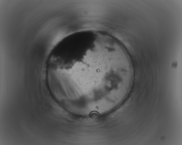 X0000094951459200712131612