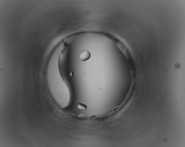 X0000094951461200712131611