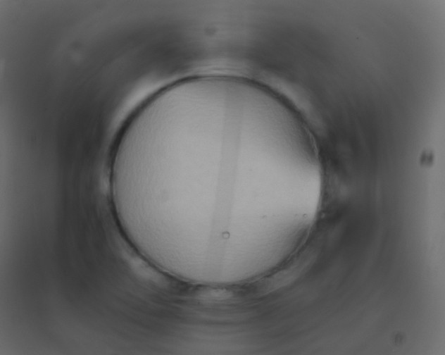 X0000094951462200712131611