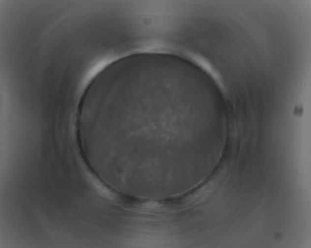 X0000094951463200712131611