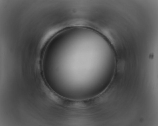 X0000094951464200712131611