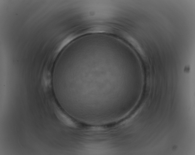 X0000094951465200712131611