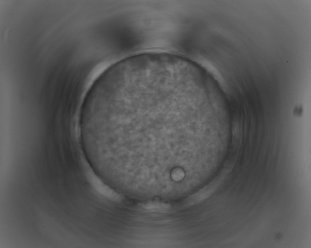 X0000094951466200712131611