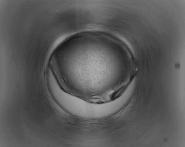 X0000094951467200712131611