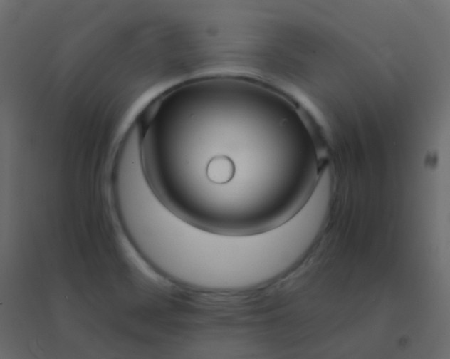 X0000094951468200712131611