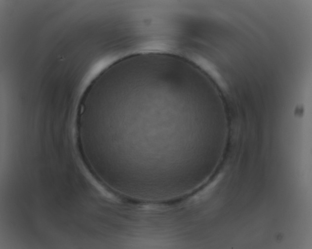 X0000094951469200712131611