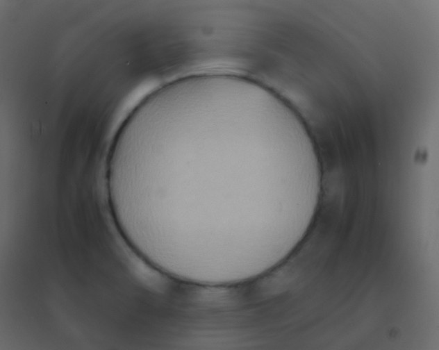 X0000094951470200712131611