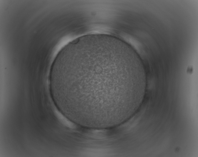 X0000094951471200712131611