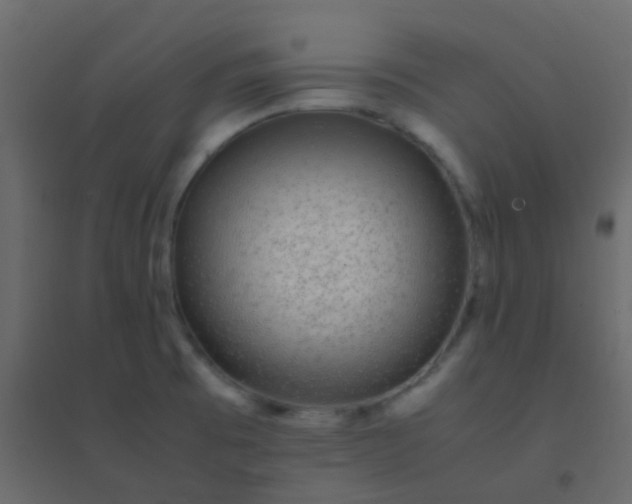 X0000094951473200712131611