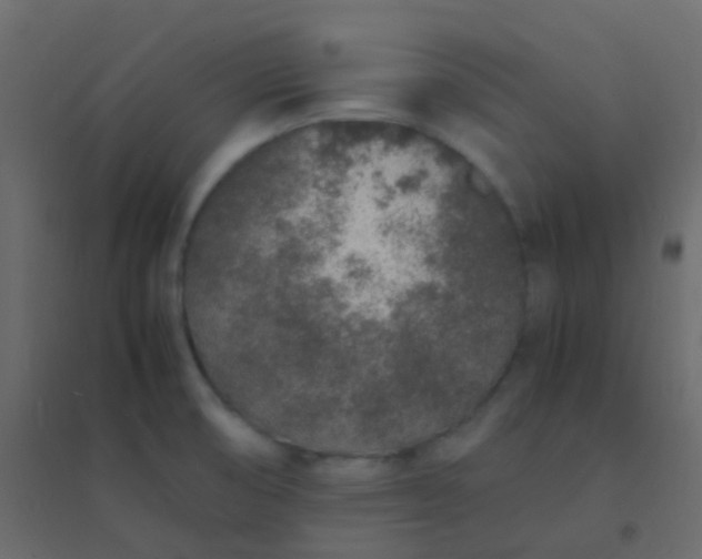 X0000094951474200712131611