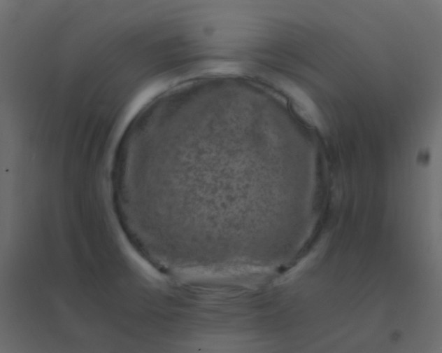 X0000094951475200712131611