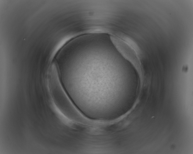 X0000094951476200712131611