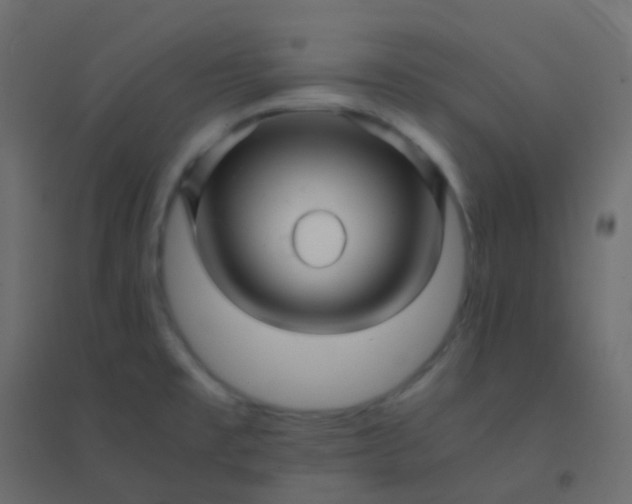 X0000094951477200712131611