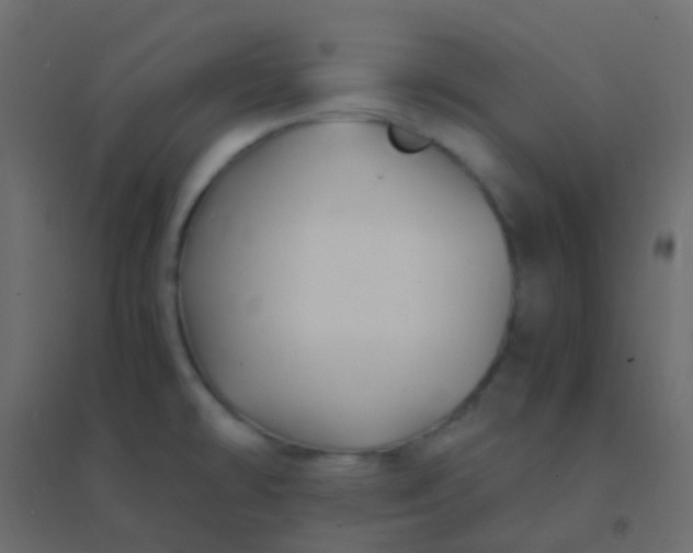 X0000094951478200712131611