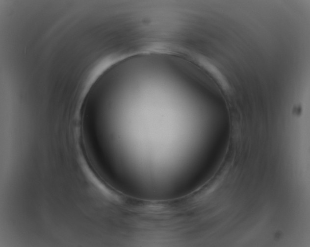 X0000094951479200712131611