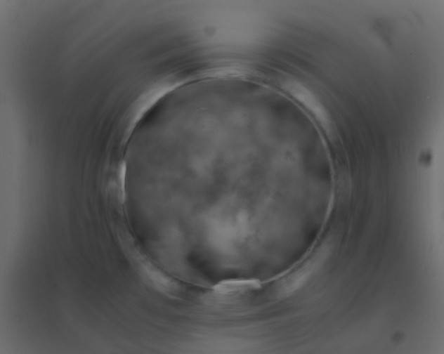 X0000094951481200712131611