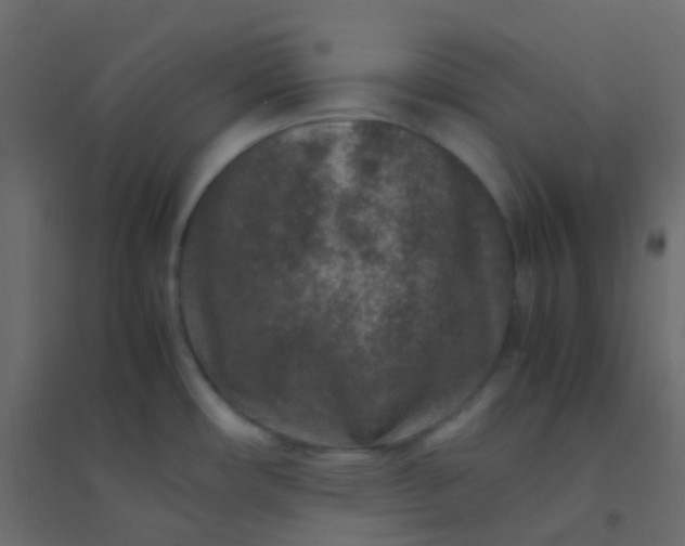 X0000094951482200712131611