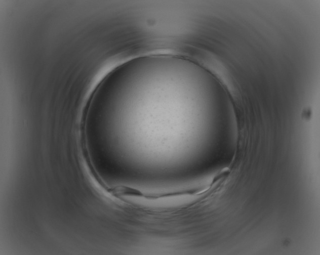 X0000094951483200712131611