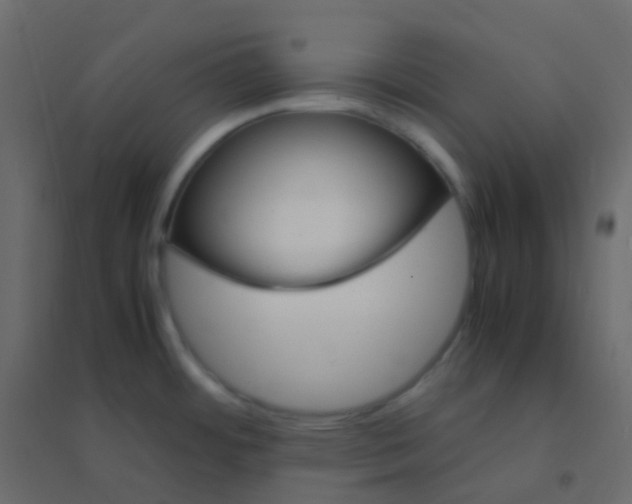 X0000094951484200712131611