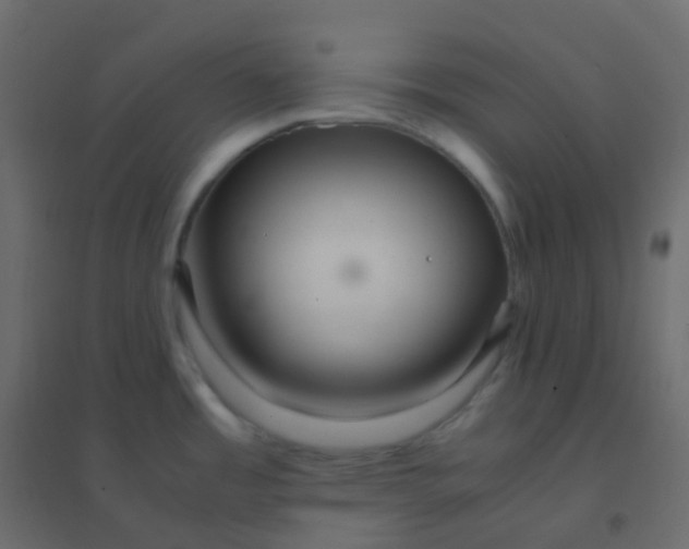 X0000094951485200712131611