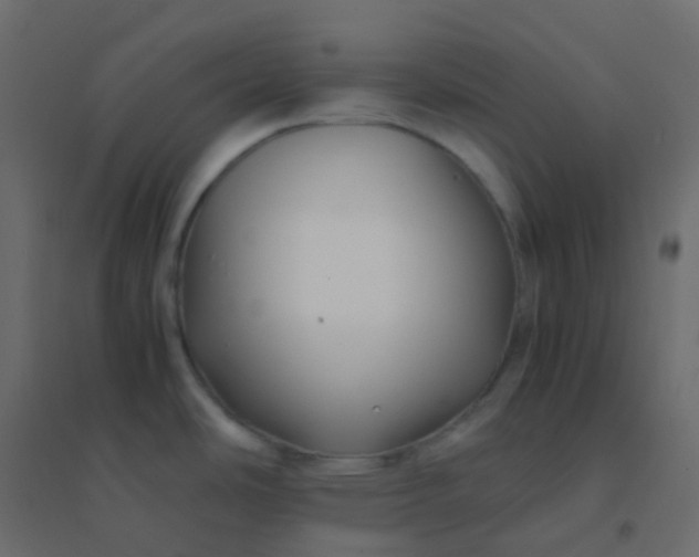 X0000094951486200712131611